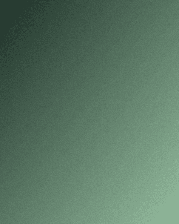 창문 02